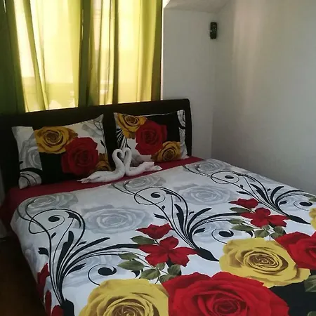 Star's Hostel
